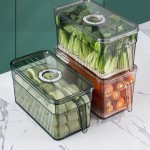 Plastic Refrigerator Storage Box