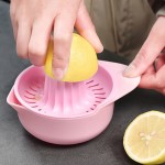 Manual Citrus Fruit Juicer