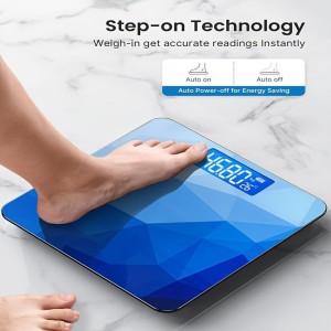 Digital Body scale