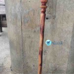 Walking Stick