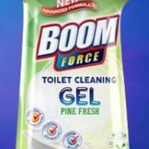 Boom Toilet Cleaner Pine 12 X 750ml