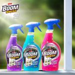 Boom Window Cleaner Assorted 12 X 750ml