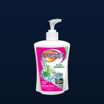 Hygenix Handwash 12x450ml Aloe Bamboo