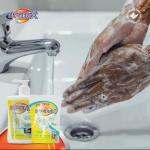Hygenix Handwash Refill Pack 12x450ml Lemon Grass